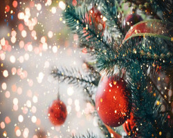 Christmas & New Year 