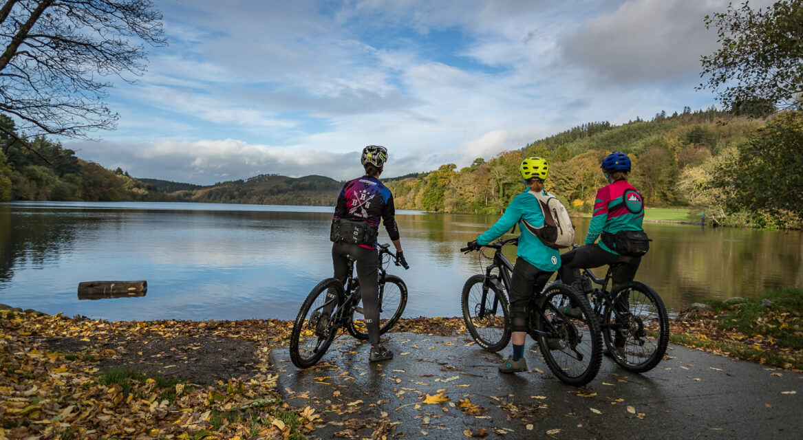 Castlewellan Mountain Bike Trails Co master 2