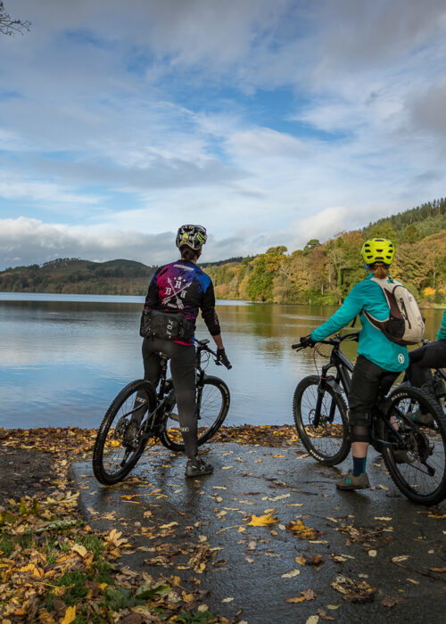 full-width-feature-image-2