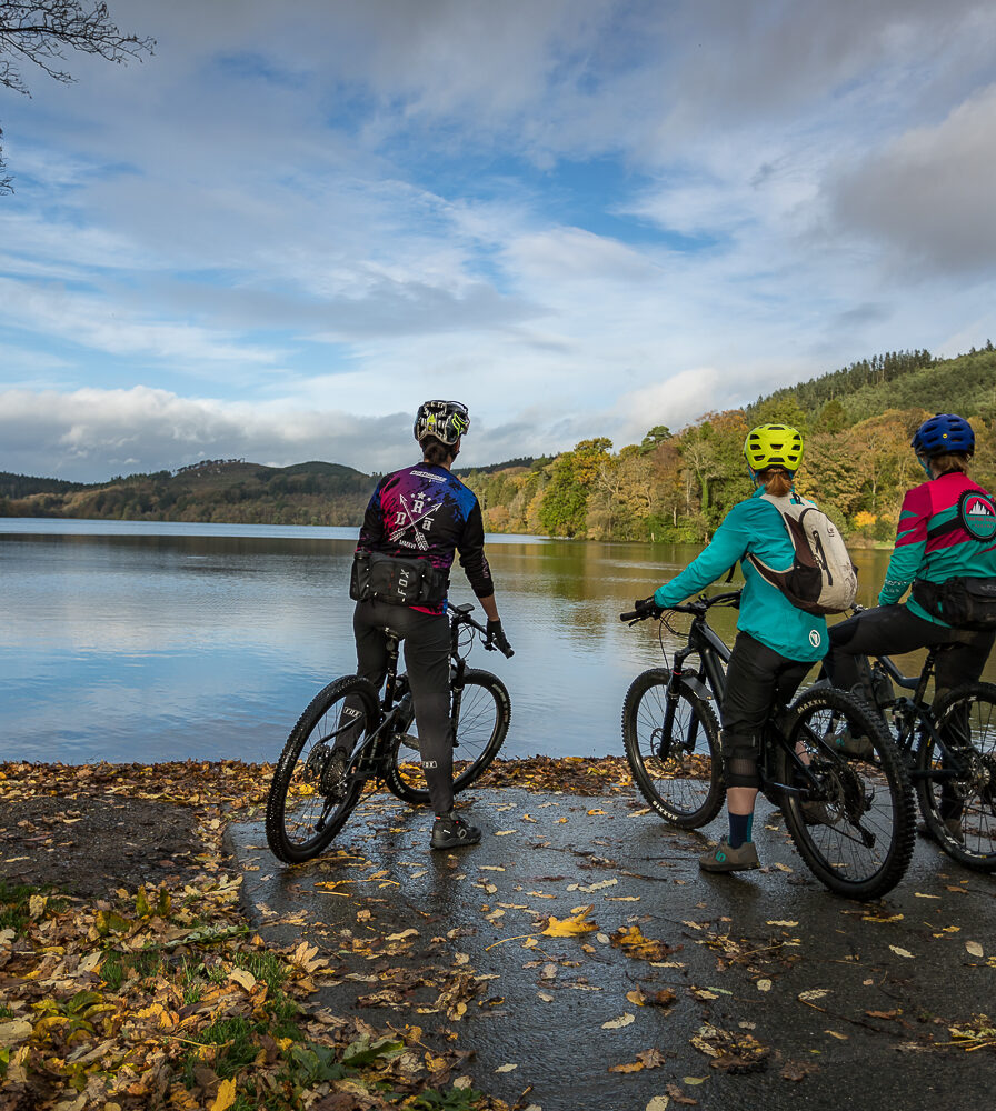 Castlewellan Mountain Bike Trails Co master