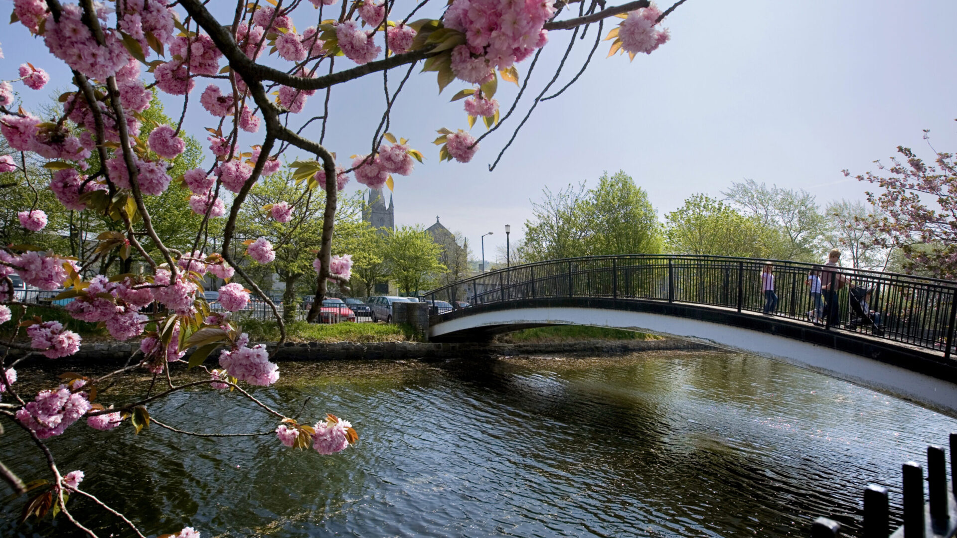 banner-image-desktop