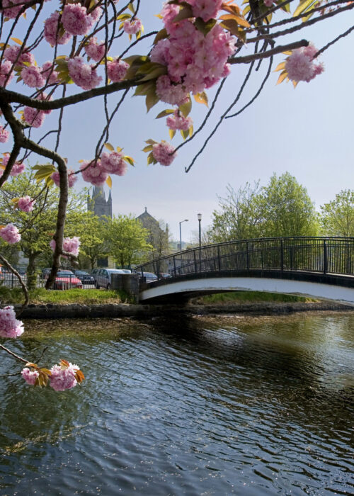 full-width-feature-image-1