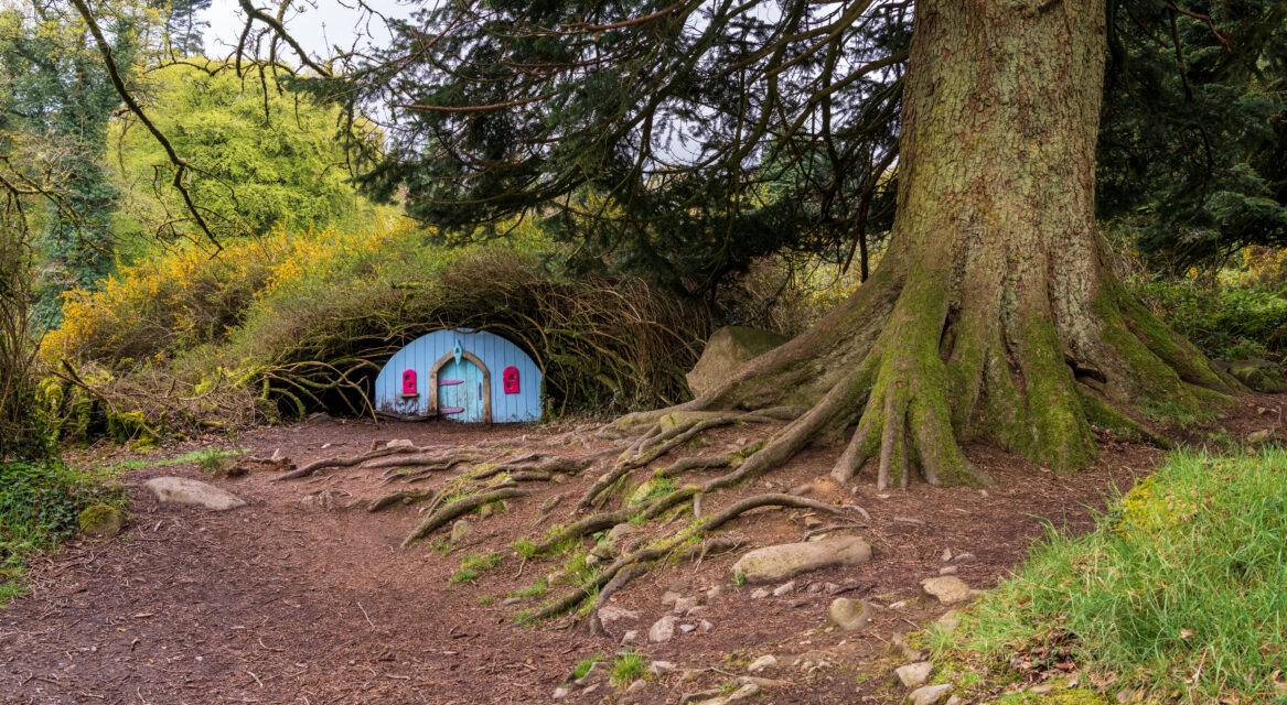 Slieve Gullion Forest co armagh 10 Gareth Wray master 1
