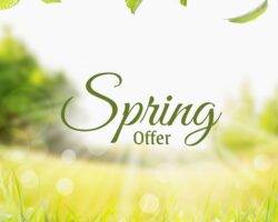 Spring Offer Pic
