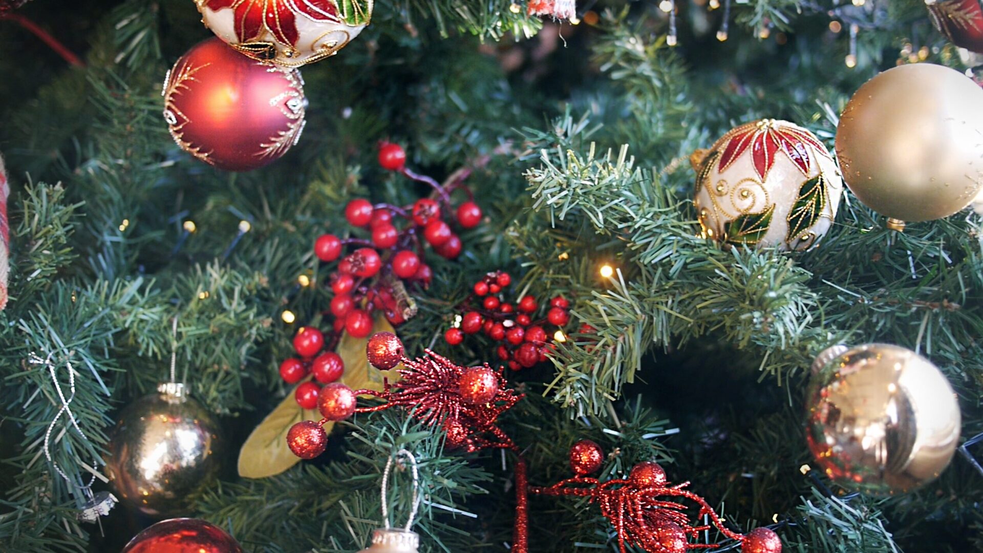 banner-image-desktop